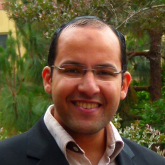 Dr. Öğr. Üyesi Ahmed Hareedy